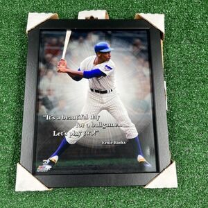 Ernie Banks Let's Play Two! Framed Picture Cooperstown Collection New